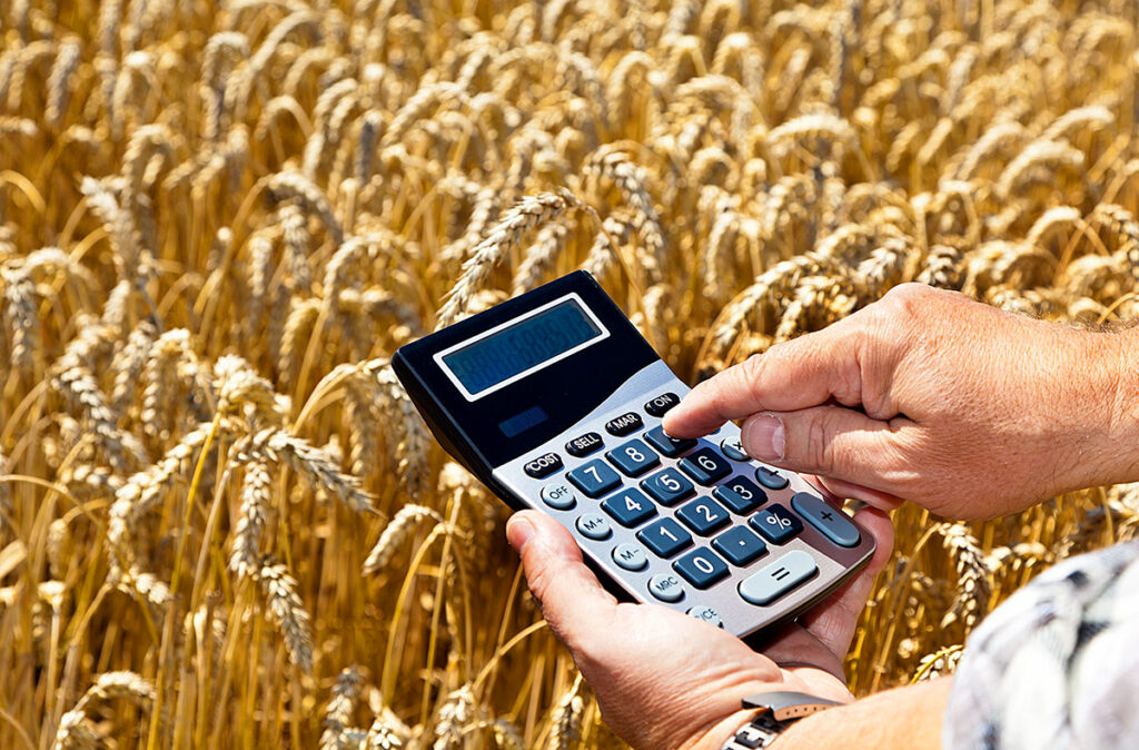 Аналитика зерновой сельскохозяйственной продукции в Казахстане на 2022г.